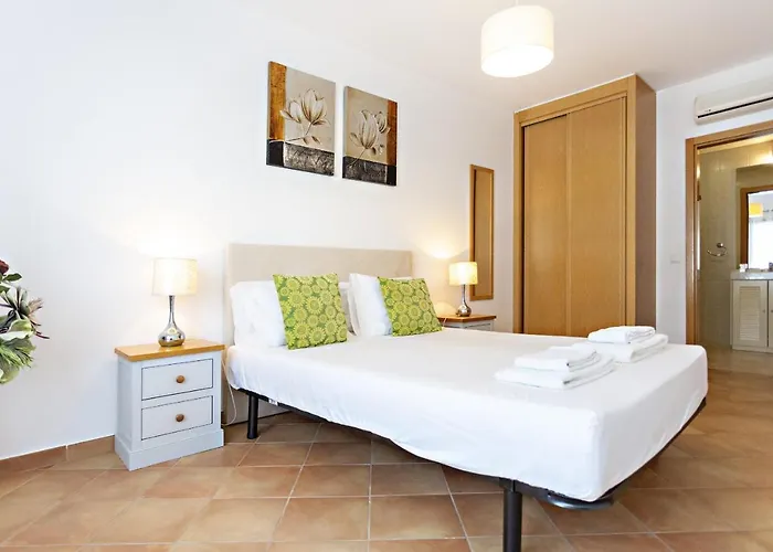 Camélia Santa Luzia